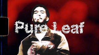 DaH  quotPure Leafquot OFFICIAL VIDEO [upl. by Past284]