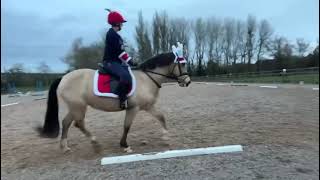 Bronwen George Jones riding Ruby South Shropshire Riding club Team Sprouts Intro 1 Christmas Cracker [upl. by Nifled287]