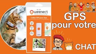 le tracker gps Weenect pour votre animal adoré la sécurité et la tranquillité [upl. by Eirrahs640]