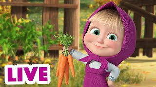 🔴 LIVE Maşa İle Koca Ayı 🎬🐰🦔 Ne kadar çok o kadar neşeli 🐺🐼 Masha and the Bear 👧🐻 [upl. by Aernda]