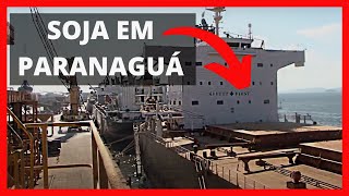 Agendamento evita filas de caminhões no Porto de Paranaguá [upl. by Virendra50]