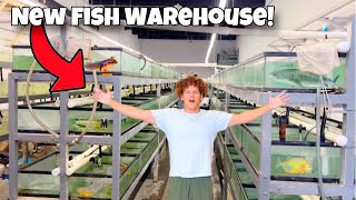 I Bought EXOTIC AQUARIUM FISH From NEW WAREHOUSE [upl. by Gaston868]