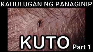 Kahulugan ng panaginip na kuto lice  ano ang ibig sabihin ng mga kuto louse sa panaginip [upl. by Ydnew]