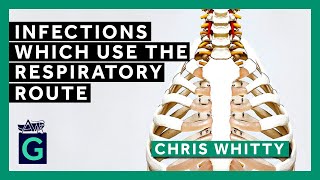 Infections Which Use the Respiratory Route [upl. by Catharina]
