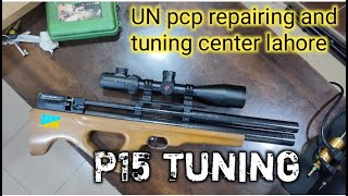 artemis p15 55mm pcp air rifle  artemis p15 tuning [upl. by December]