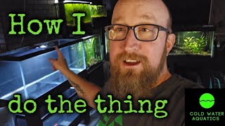 Setting up a dirtedplanted aquarium quickly [upl. by Amitak318]