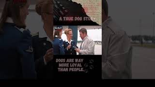 Dogs are way more loyal than people palma shortsvideo shorts [upl. by Andi]