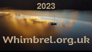 Whimbrel Scotland 2023 [upl. by Collayer147]