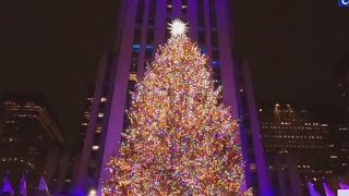 Palestinian supporters protest near Rockefeller tree lighting [upl. by Idnahs187]