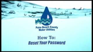 How To Reset Your Account Password [upl. by Elleinahc]