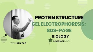 Gel Electrophoresis and SDSPAGE [upl. by Yorgos320]