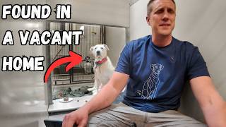 Watch what Happens When I Sing to a Shelter Dog [upl. by Tabina]