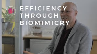 Using Biomimicry in Design A Case Study [upl. by Aerehs]