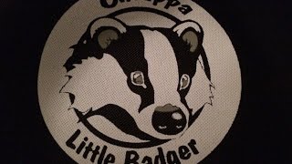 Chiappa Little Badger Review [upl. by Naniac639]