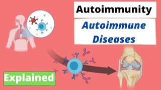 Autoimmunity Immunology  Autoimmune Disease and Immune Tolerance explained [upl. by Jacynth]