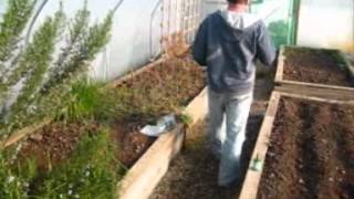 Polytunnel walk [upl. by Yenittirb388]