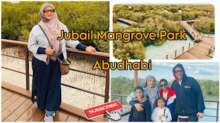 Jubail Mangrove Park Abudhabi  Jubail Island  Walking through the mangroves 🏝️ [upl. by Annorah]