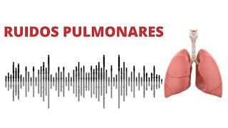 AUSCULTACIÓN PULMONAR ruidos normales y anormales [upl. by Ynnattirb331]