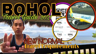 BOHOL Travel Guide 2021 Travel Requirements  VLOGCETERA  ThrifTrip in Bohol Ep1 [upl. by Rodman]