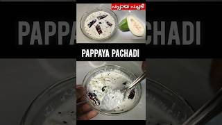 Sadya Special Pappaya Pachadi Recipe [upl. by Corsetti210]