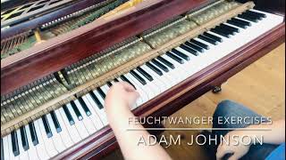 Feuchtwanger Piano exercises [upl. by Mcneil627]