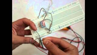 How to Display Numbers on Bcd 7 Segment Without Using A Decoder [upl. by Durst]