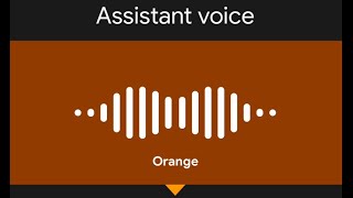 How to change the assistant voice on your google home mini [upl. by Enomad]