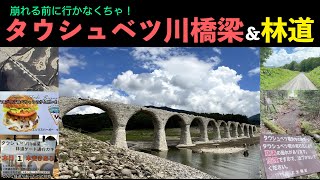 崩れる前に行かなくちゃ！タウシュベツ川橋梁＆林道 [upl. by Iad]