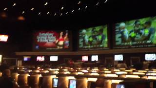 HD Las Vegas sportsbook reaction to PackersSeahawks final [upl. by Garrot]