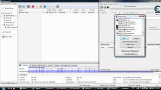 BitTorrent schneller machen [upl. by Mientao]