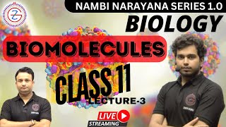 BIOMOLECULES  Class  11  Chapter 09  Lecture 3  By Ashutosh Sir [upl. by Jewelle]