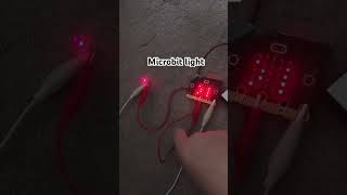 Microbit light microbit [upl. by Courtund]