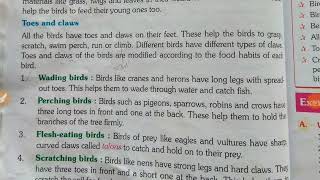 Class4 EVS lesson 10 Beaks and claws part2 [upl. by Ula]