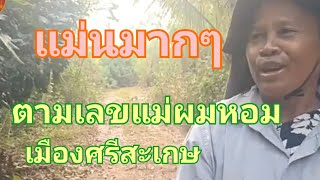 แม่นมากๆ แม่ผมหอมหมายเลข ตามต่องวด 1 เมษายน 67 [upl. by Hurty]