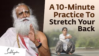 Morning Yoga For Beginners A 10Minute Practice To Stretch Your Back  Yoga Namaskar [upl. by Ayoted]