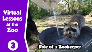 Virtual Zoo  Role of Zookeeper  Learn all about what Keepers do [upl. by Naedan]