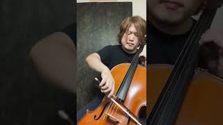 Tchaikovsky  Variations on a Rococo Theme Variation IV cello [upl. by Tatiana]