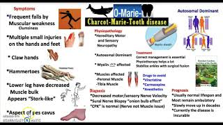 What is the most common cause of CMT Types Symptoms Treatment USMLE NCLEX MCAT 3 Minutes [upl. by Loriner197]