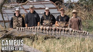 Duck Hunting South Dakotas FINEST Cattle Pond [upl. by Hctud]