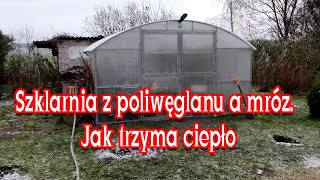 5°C Jak trzyma ciepło szklarnia z poliwęglanu 6mm Testujemy CDN [upl. by Holey]