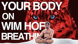 Control your Breath Control your Body Wim Hof Explained [upl. by Akemahc]