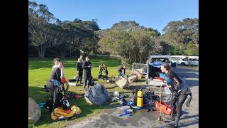 PADI Open water Diving Learning to Dive with Dive HQ Auckland [upl. by Leamsi]