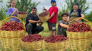 Rustic Charm In Far From Civilization Harvesting Cherry and Cooking Pilaf  Cherry Compote and Jam [upl. by Nnahtur]