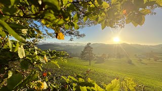 Herbst im Geisswald Teil 2 [upl. by Sundberg]