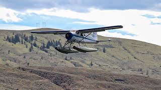 Rare De Havilland Canada Beaver in Action at Kamloops Airport [upl. by Paschasia938]