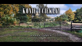 KONIE UCIEKŁY [upl. by Ardek]