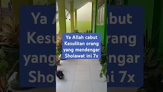 Sholawat Terbaru 2024 shorts sholawat 2024 [upl. by Aidnyl]