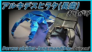 アルキデスヒラタ長歯おりがみDorcus alcides long ｍandible Origami泰坦巨螯蟹长牙折纸아르키데스 힐라 타쿠와가타 긴 치아 종이Archides gigi [upl. by Reemas]