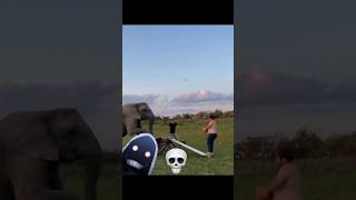 Elephant Shocked😱 youtubeshorts trollface phonk viralshorts shorts [upl. by Rizas137]