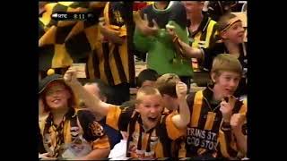 2001 Leinster Hurling Final Kilkenny v Wexford [upl. by Gwenni381]